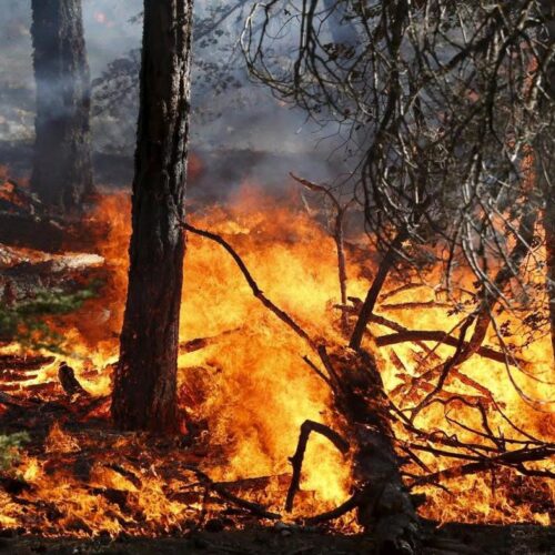 Dopo le piogge migliora la situazione degli incendi boschivi in Piemonte