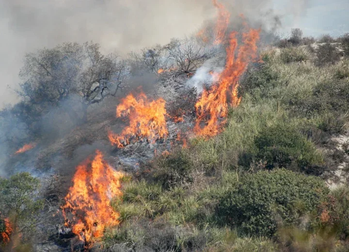 Incendi boschivi in Piemonte, arriva l’elicottero Erickson: rafforzato il dispositivo per contrastare i roghi