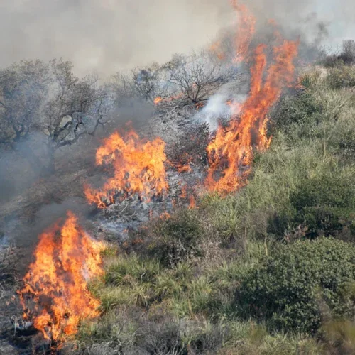 Incendi boschivi, dall’8 luglio scatta in Piemonte lo stato di massima pericolosità: ecco divieti e sanzioni
