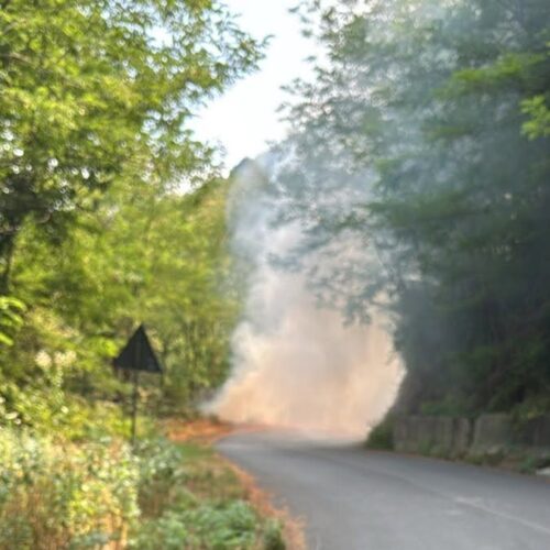 Incendio boschivo a Molare sulla strada verso Olbicella