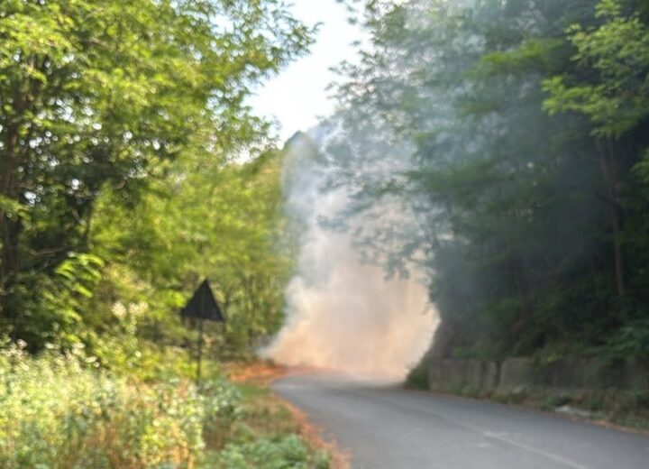 Incendio boschivo a Molare sulla strada verso Olbicella