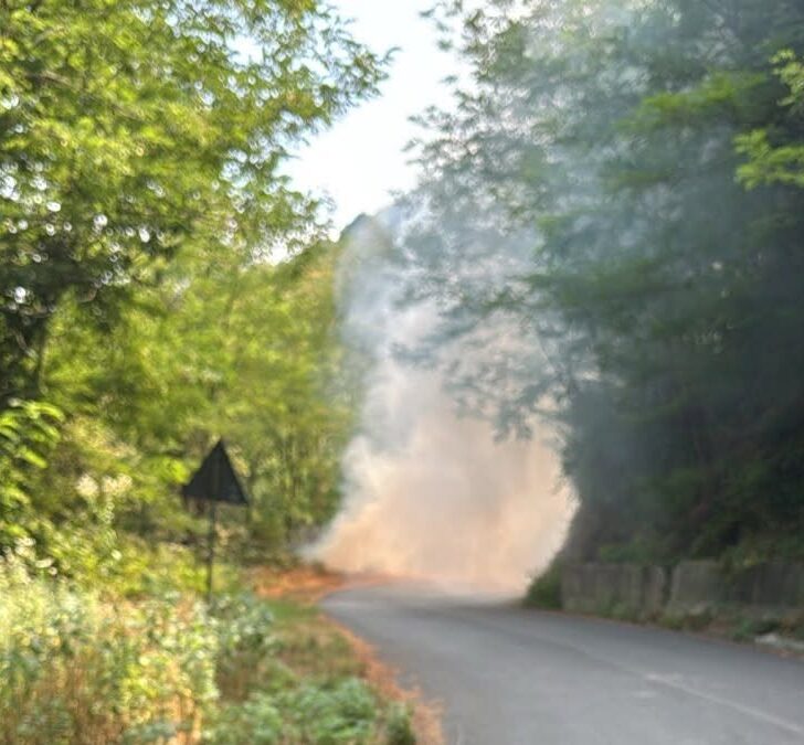 Incendio boschivo a Molare sulla strada verso Olbicella