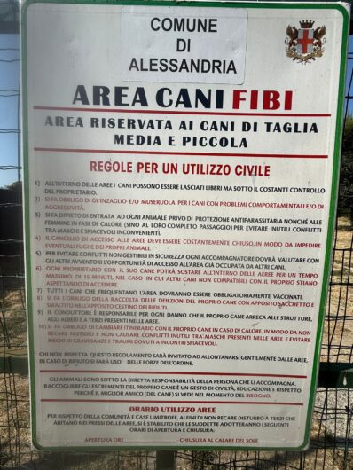 Forte Acqui più sicuro: installate le telecamere. Nuovi interventi in arrivo nelle aree Fibi e in diverse zone del Cristo
