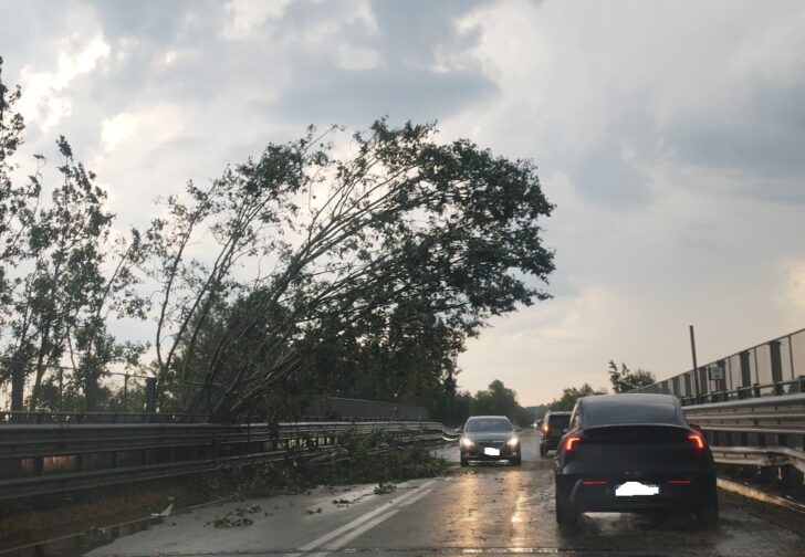 Maltempo nell’Alessandrino: alberi caduti, danni a tetti e disagi alla circolazione