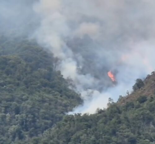 Incendi boschivi in Piemonte, centinaia di Vigili del Fuoco impegnati tra Vercellese, Vco e Torinese