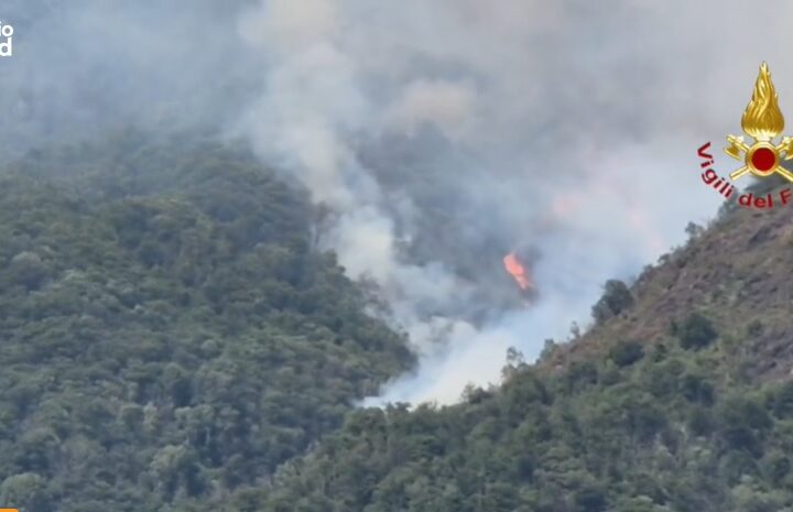 Incendi boschivi in Piemonte, centinaia di Vigili del Fuoco impegnati tra Vercellese, Vco e Torinese