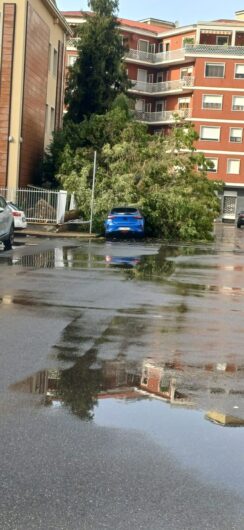 Maltempo: alberi sulle strade e sulle auto ad Alessandria, grandine in provincia