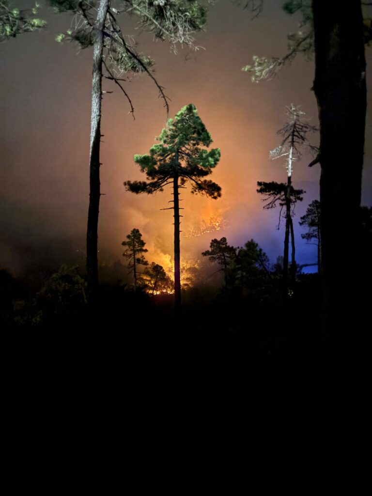 Incendio Mornese - Foto Mornese E20
