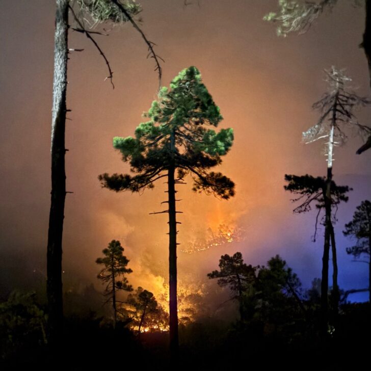 Le immagini del violento incendio a Mornese