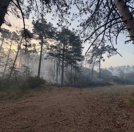 Incendio di Mornese: nonostante il vento di ieri situazione sotto controllo