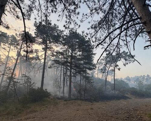Incendio di Mornese: nonostante il vento di ieri situazione sotto controllo