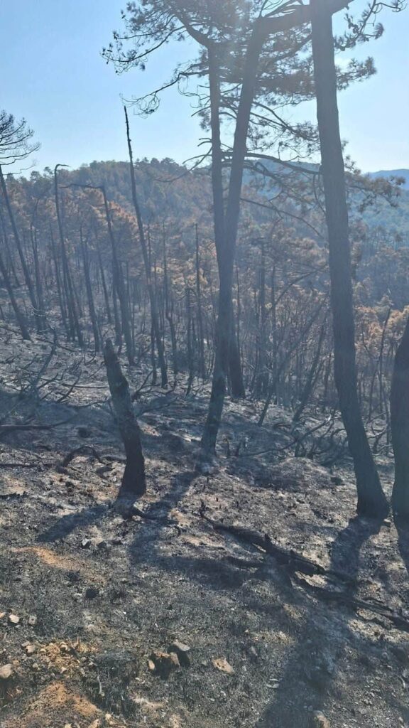 Incendio Casaleggio Boiro