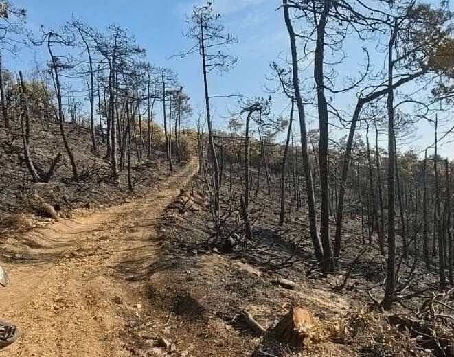 Mornese e Casaleggio Boiro dopo gli incendi: “Lavagnina e Cravaria non saranno più come prima”
