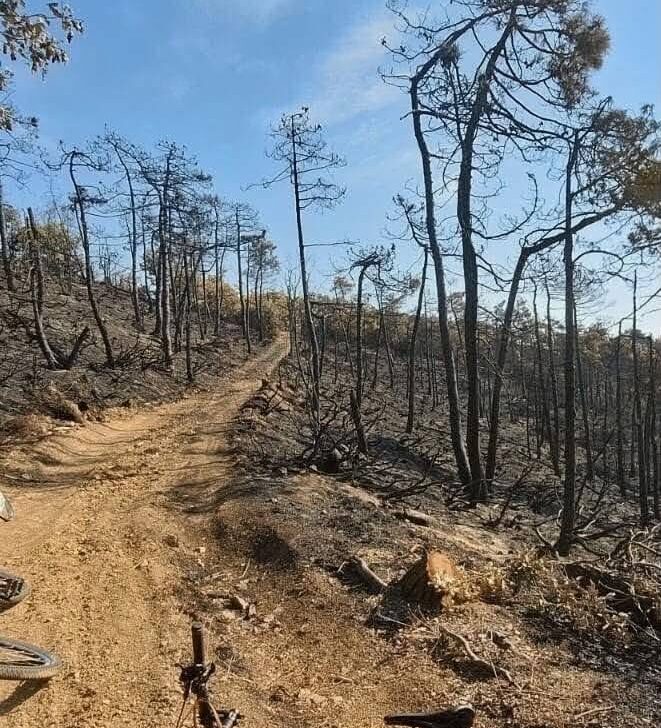 Mornese e Casaleggio Boiro dopo gli incendi: “Lavagnina e Cravaria non saranno più come prima”