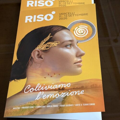 Risò 2026, Vercelli diventa capitale del riso: tre giorni di eventi, incontri e tour