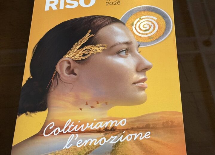 Risò 2026, Vercelli diventa capitale del riso: tre giorni di eventi, incontri e tour