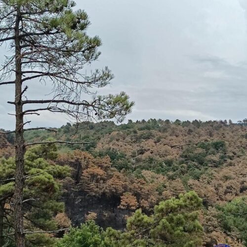 Incendio boschivo Mornese: continua la bonifica delle aree a rischio. Chiesto l’impiego di un drone