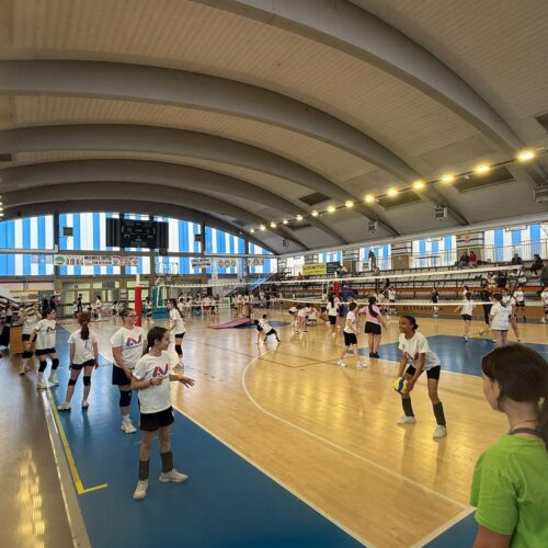 Dal 24 agosto al via il settore giovanile dell’Alessandria Volley dal 24 agosto