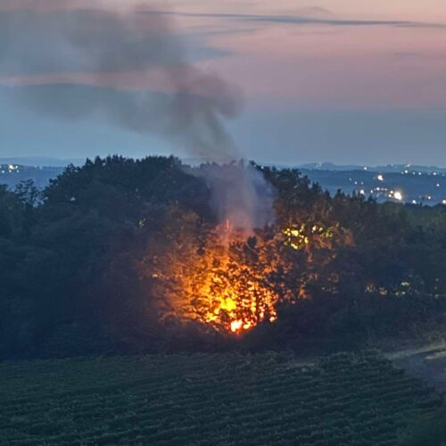Stato di emergenza per incendi e crisi idrica: il Piemonte applica la nuova legge approvata a giugno