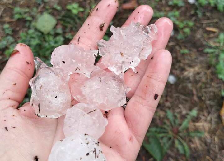 Maltempo nell’Alessandrino. A Piovera chicchi di grandine grossi come noci