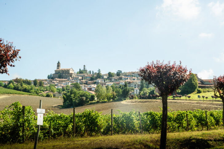 Monsterrando 2026, Stokbro Nielsen domina le strade bianche del Monferrato. Le FOTO di Vasco Pastorino 