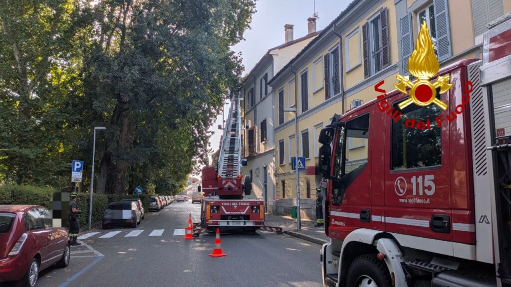 Vigili fuoco pavia