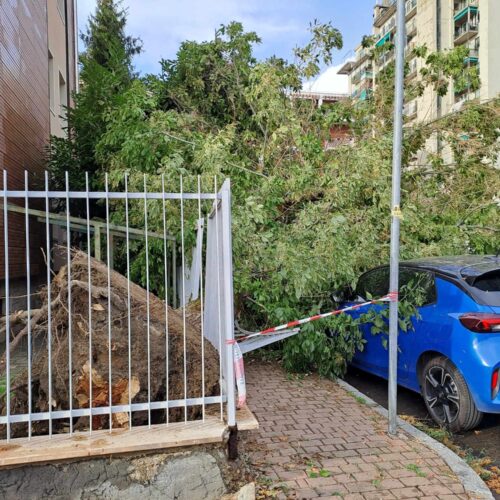 Maltempo: alberi sulle strade e sulle auto ad Alessandria, grandine in provincia
