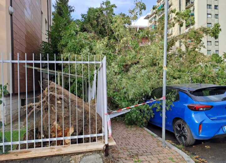 Maltempo: alberi sulle strade e sulle auto ad Alessandria, grandine in provincia