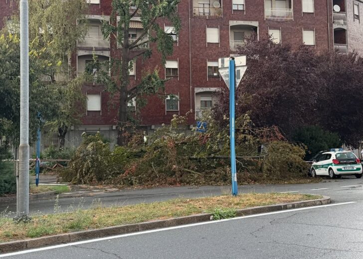Maltempo: alberi sulle strade e sulle auto ad Alessandria, grandine in provincia