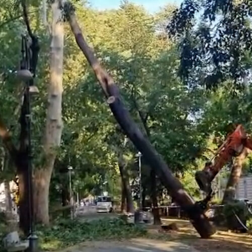 Maltempo a Pavia: riaperto viale Matteotti, l’Allea resta chiusa per precauzione