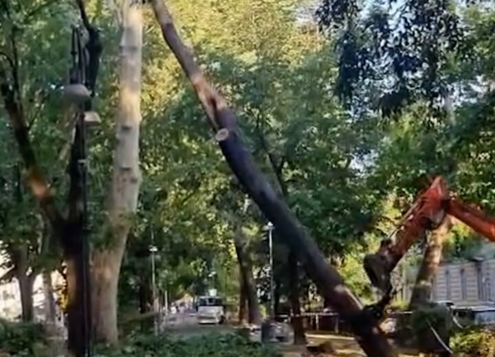 Maltempo a Pavia: riaperto viale Matteotti, l’Allea resta chiusa per precauzione