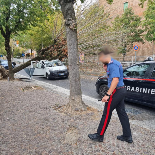 Maltempo: alberi caduti, circolazione ferroviaria verso la Liguria critica e grandine sul Novarese