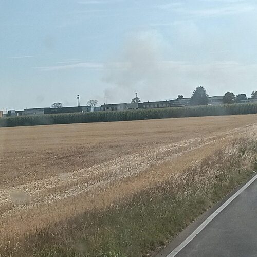 Incendio nei campi tra Spinetta Marengo e Litta Parodi. Vigili del fuoco al lavoro per spegnere le fiamme