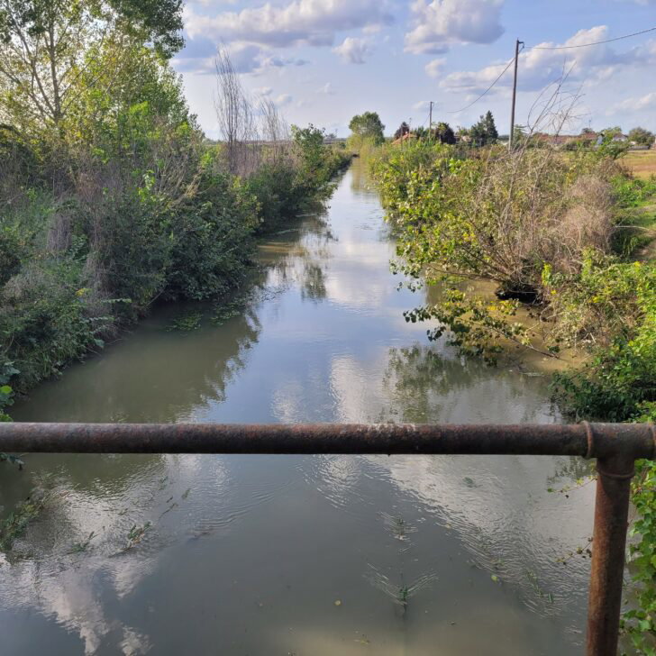 Canale Carlo Alberto: lavori per 8 milioni di euro tra Cassine e Casalbagliano contro la dispersione idrica