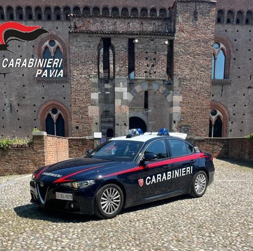 Controlli dei carabinieri nei locali del Pavese: quasi 50mila euro di sanzioni e 500 chili di alimenti sequestrati