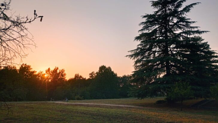 Lo spettacolo dell’eclissi di sole: le vostre foto
