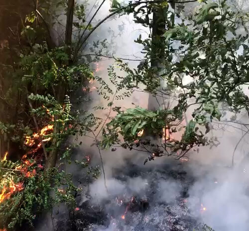 Incendio boschivo a Belforte Monferrato