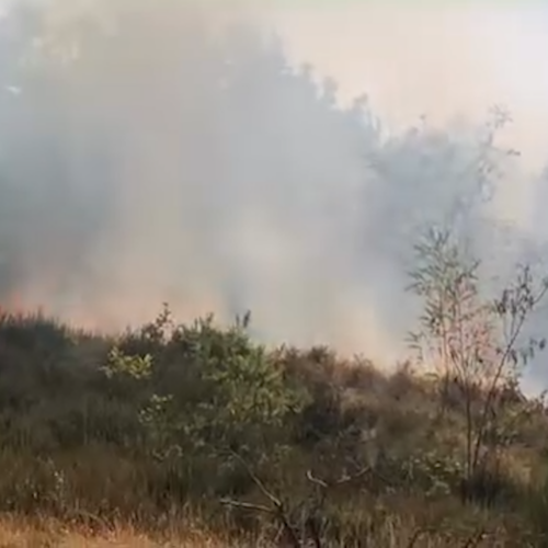 Incendio complicato a Belforte, chiesto intervento aereo