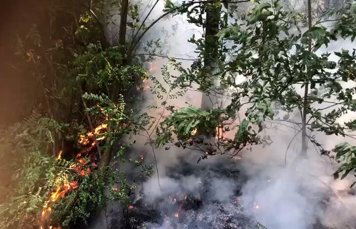 Incendio boschivo a Belforte Monferrato