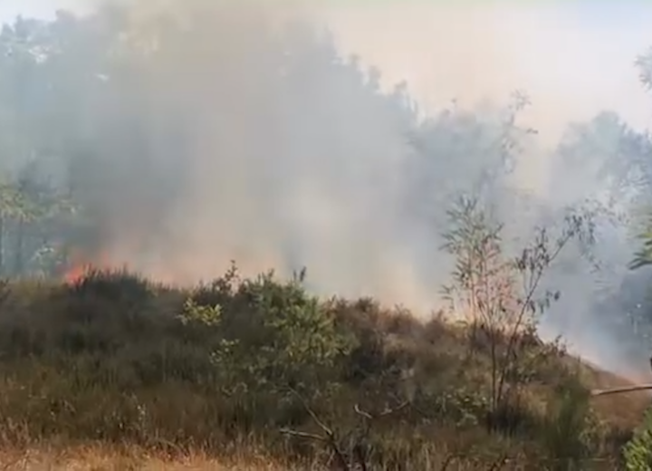 Incendio complicato a Belforte, chiesto intervento aereo