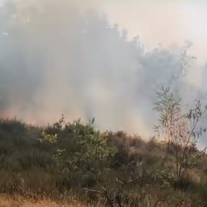 Incendio complicato a Belforte, chiesto intervento aereo