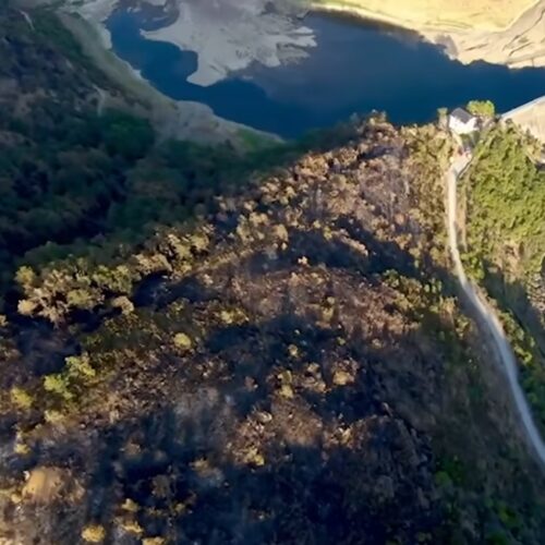 A Mornese bruciati in tutto oltre 230 ettari di bosco