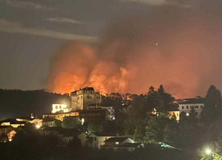 Incendi, il Wwf lancia l’allarme: roghi anomali anche in Piemonte