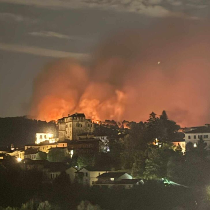 Incendi, il Wwf lancia l’allarme: roghi anomali anche in Piemonte