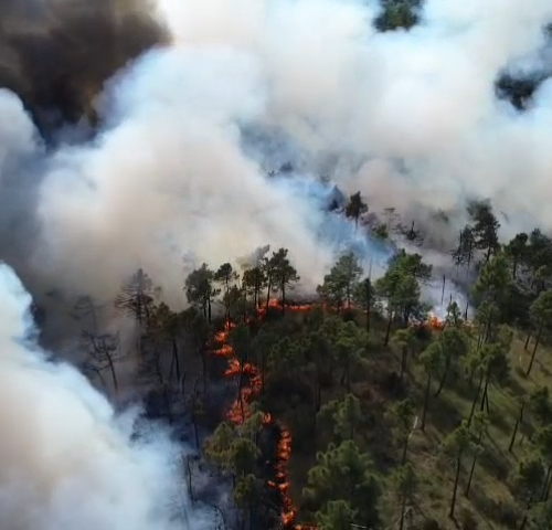 Incendio di Mornese: le immagini dall’alto del rogo e degli interventi dal cielo