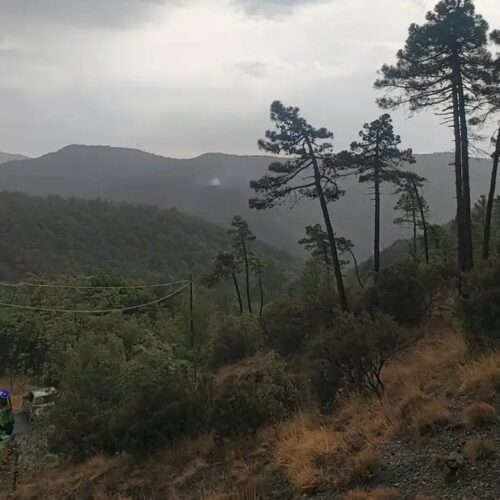 Nuovo focolaio a Mornese in un’altra zona boschiva impervia