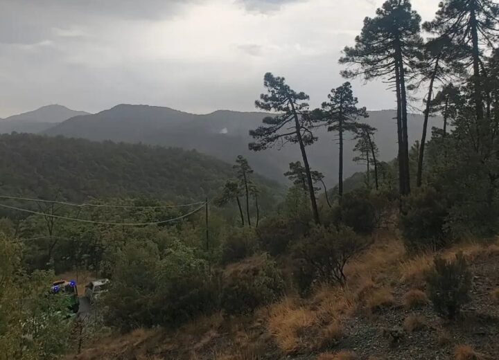 Nuovo focolaio a Mornese in un’altra zona boschiva impervia