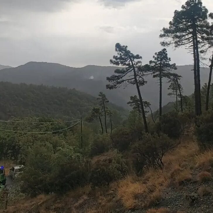 Nuovo focolaio a Mornese in un’altra zona boschiva impervia