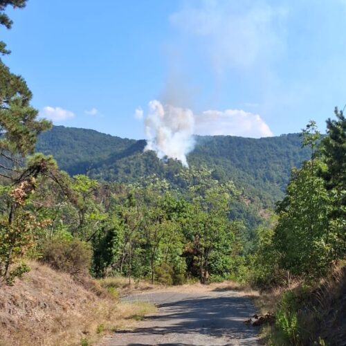 Ripreso l’incendio boschivo spento la scorsa notte a Mornese