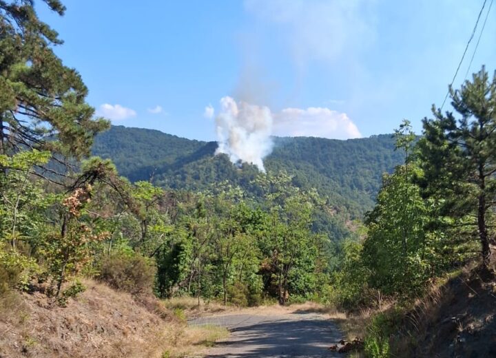 Ripreso l’incendio boschivo spento la scorsa notte a Mornese